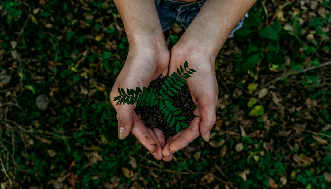 The Sustainability of Peanuts