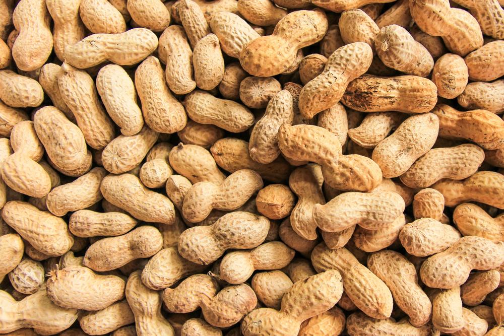 Interview with Peanut Farmer Donny Lassiter